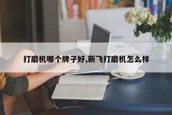 打磨机哪个牌子好,新飞打磨机怎么样